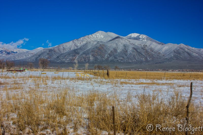 The Rio-Grande in NM (22)