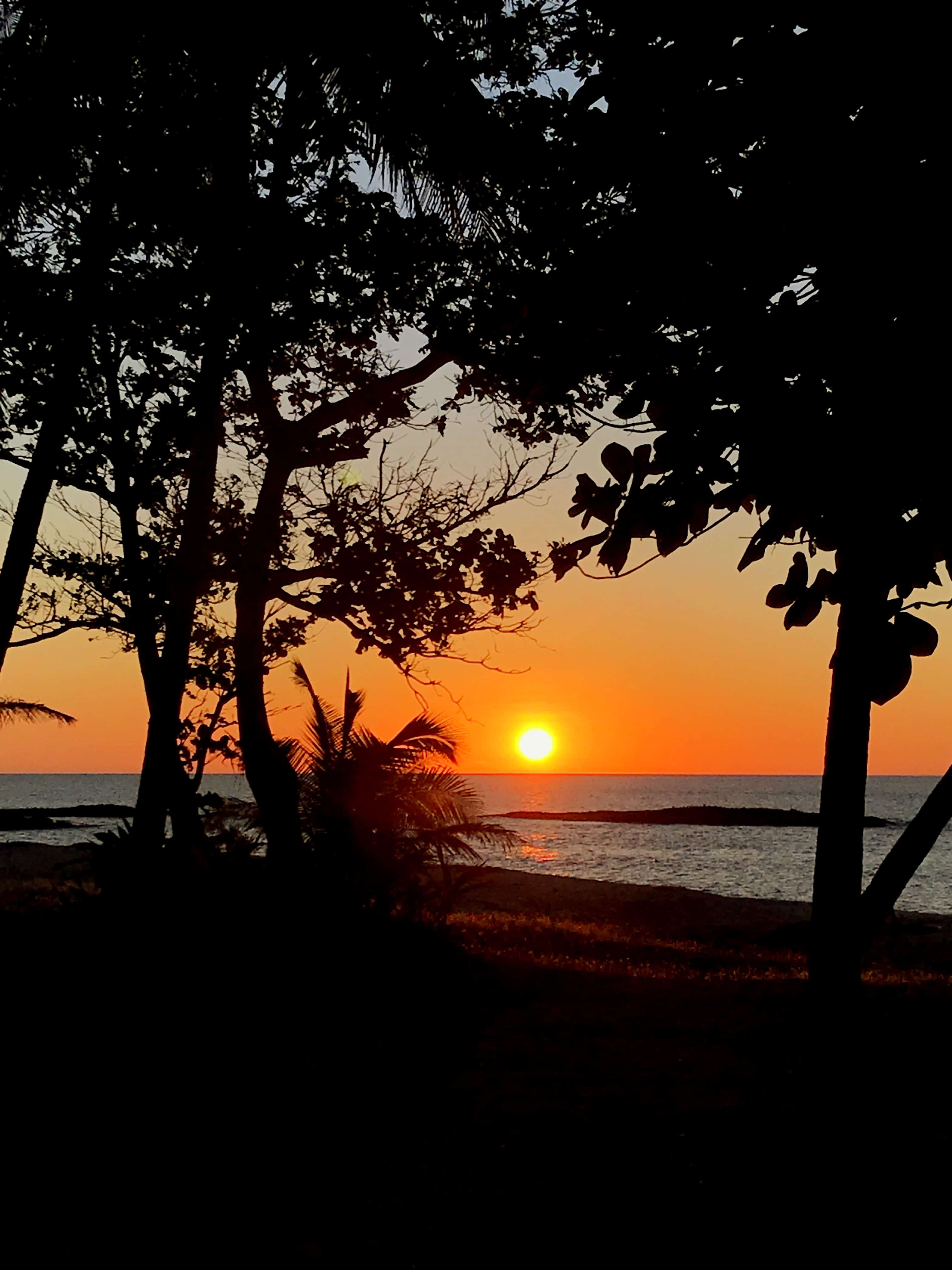 Yasawa Islands Resort & Spa