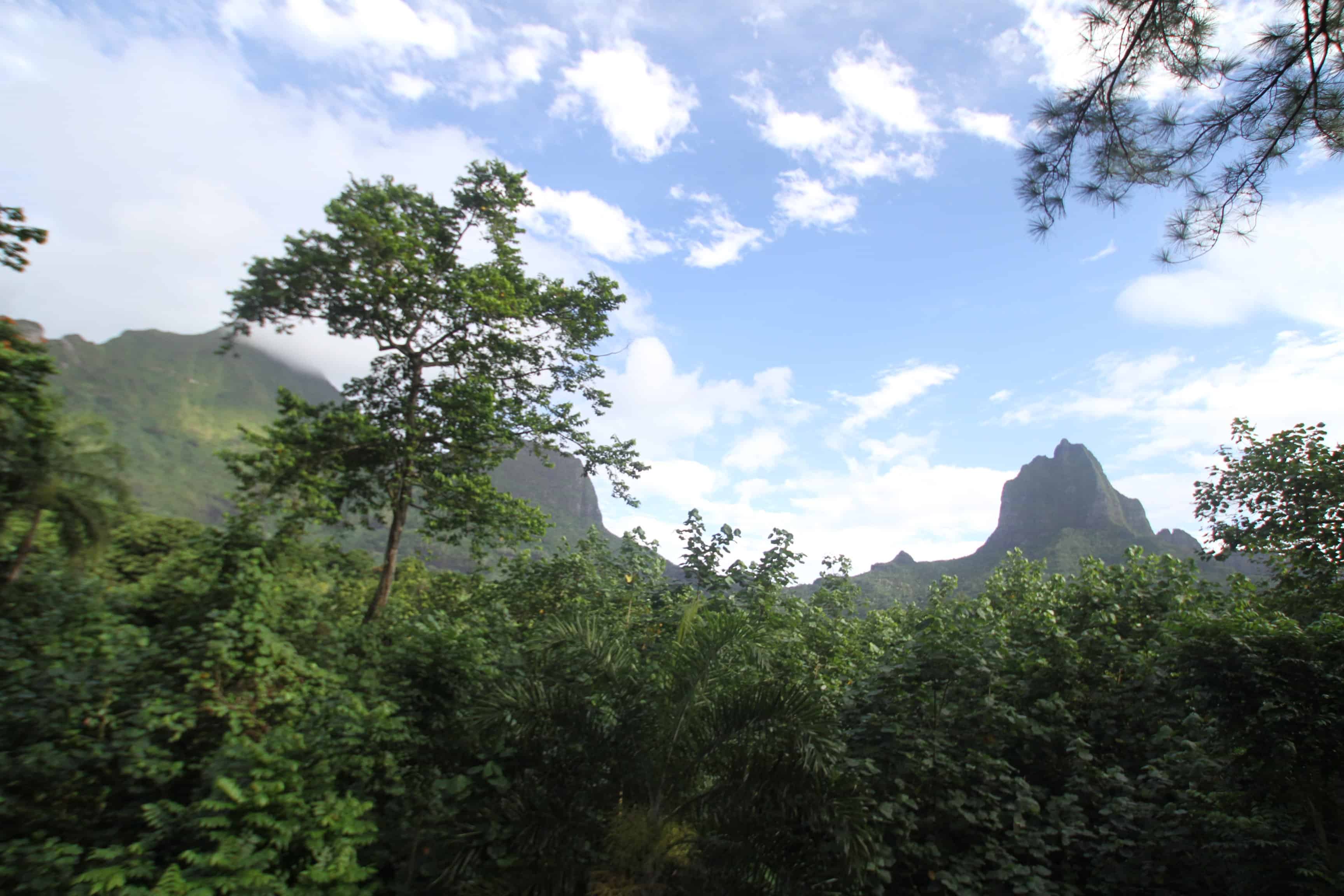 Mo'orea travel guide