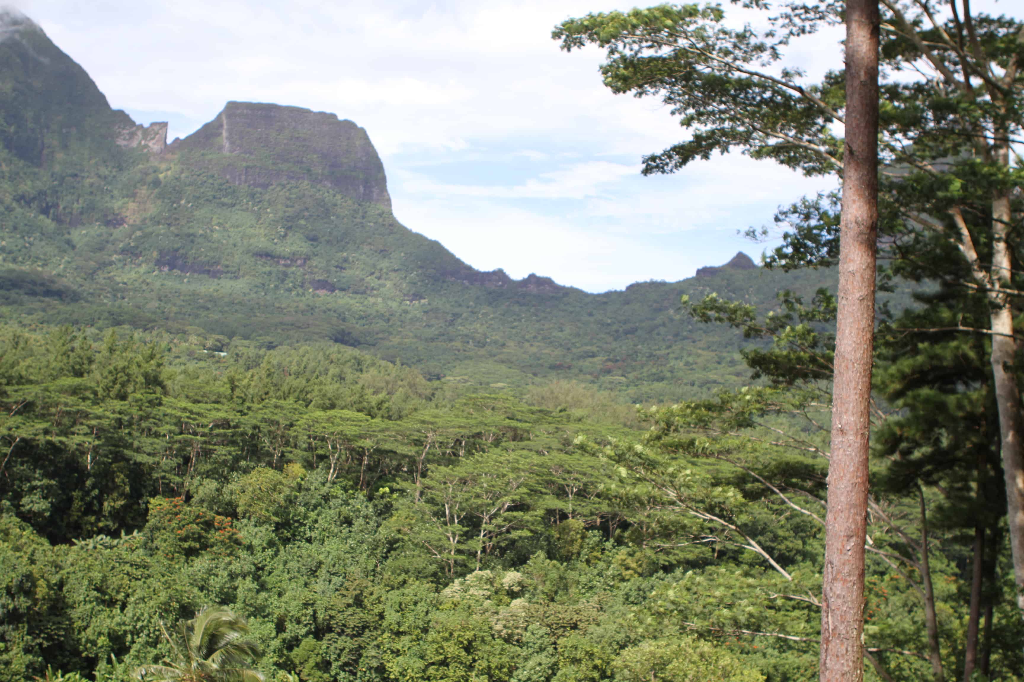 Mo'orea travel guide