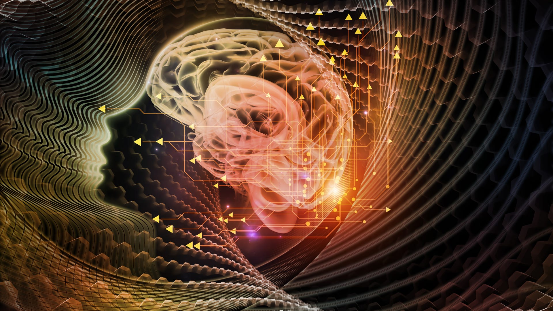 The Hidden Language of the Soul • We Weblog The World