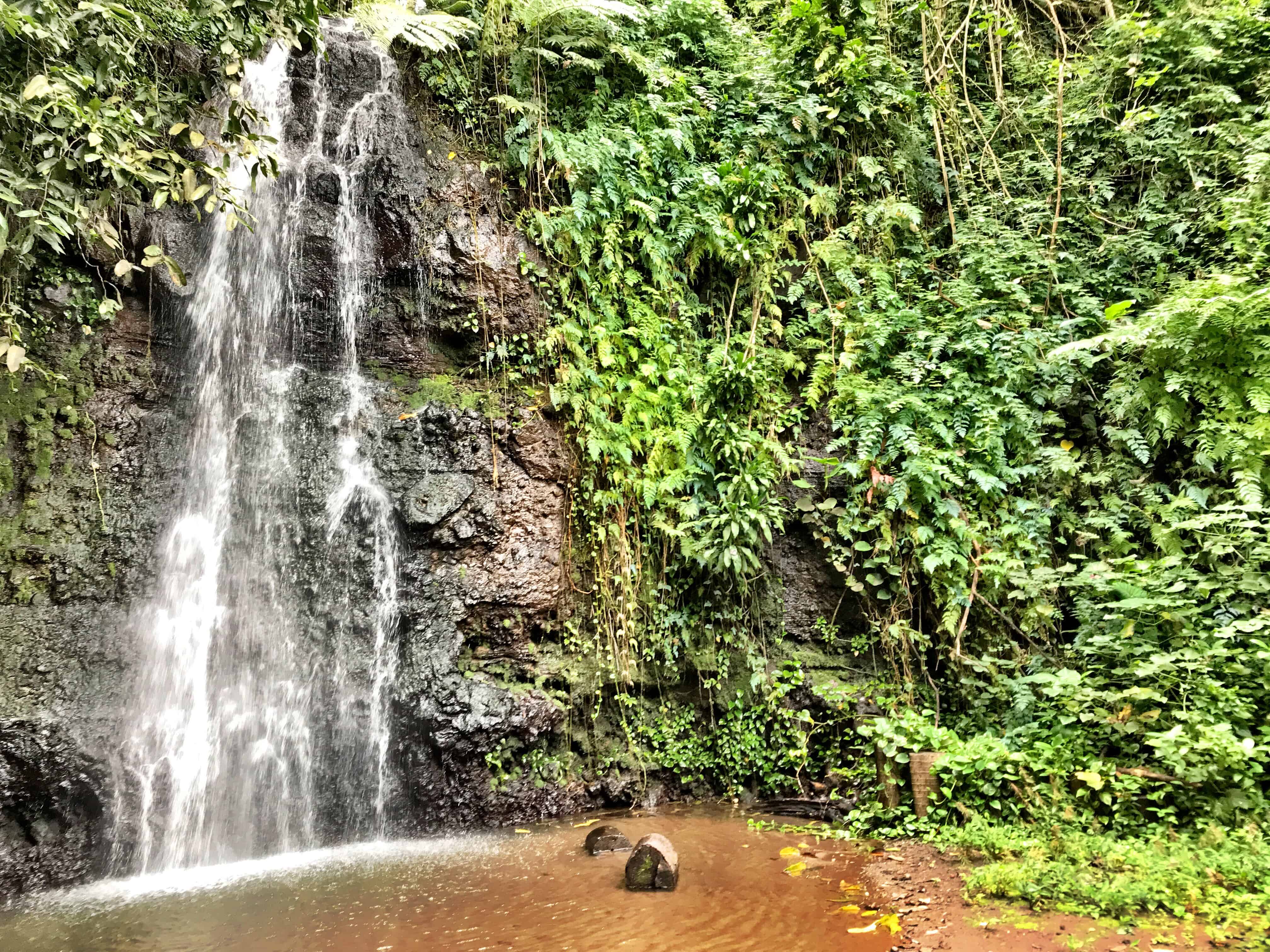 tahiti travel guide
