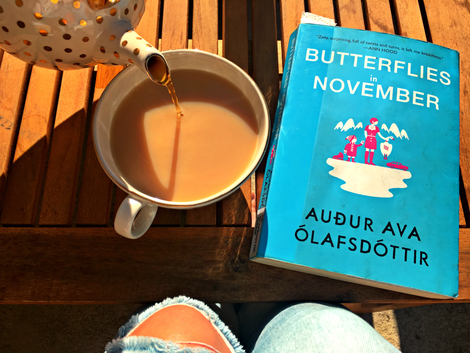Butterflies in November