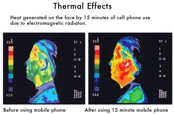 cell-thermal-effect2