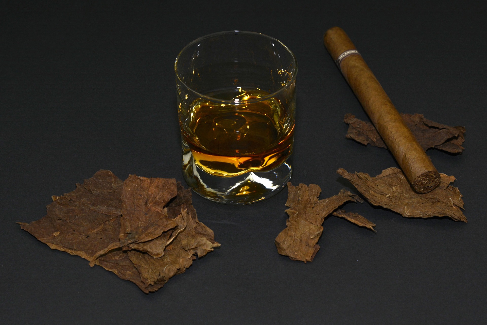 cigar smokers