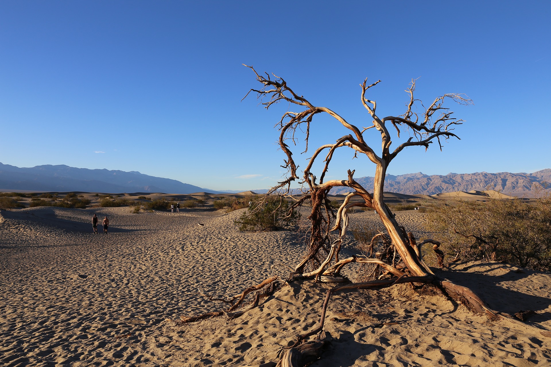 Climbing Death Valley