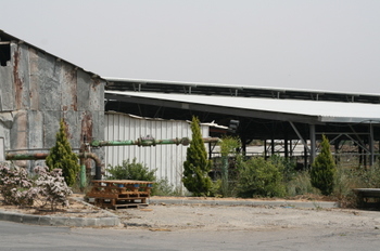 The_refet_cow_pasture_area_where_7_ The_refet_cow_pasture_area_where_7_