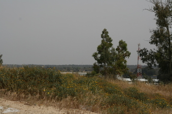 View_from_within_kibbutz_zikim_road View_from_within_kibbutz_zikim_road