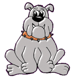 Bigdog Bigdog
