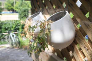 fait-ici organic store (6)
