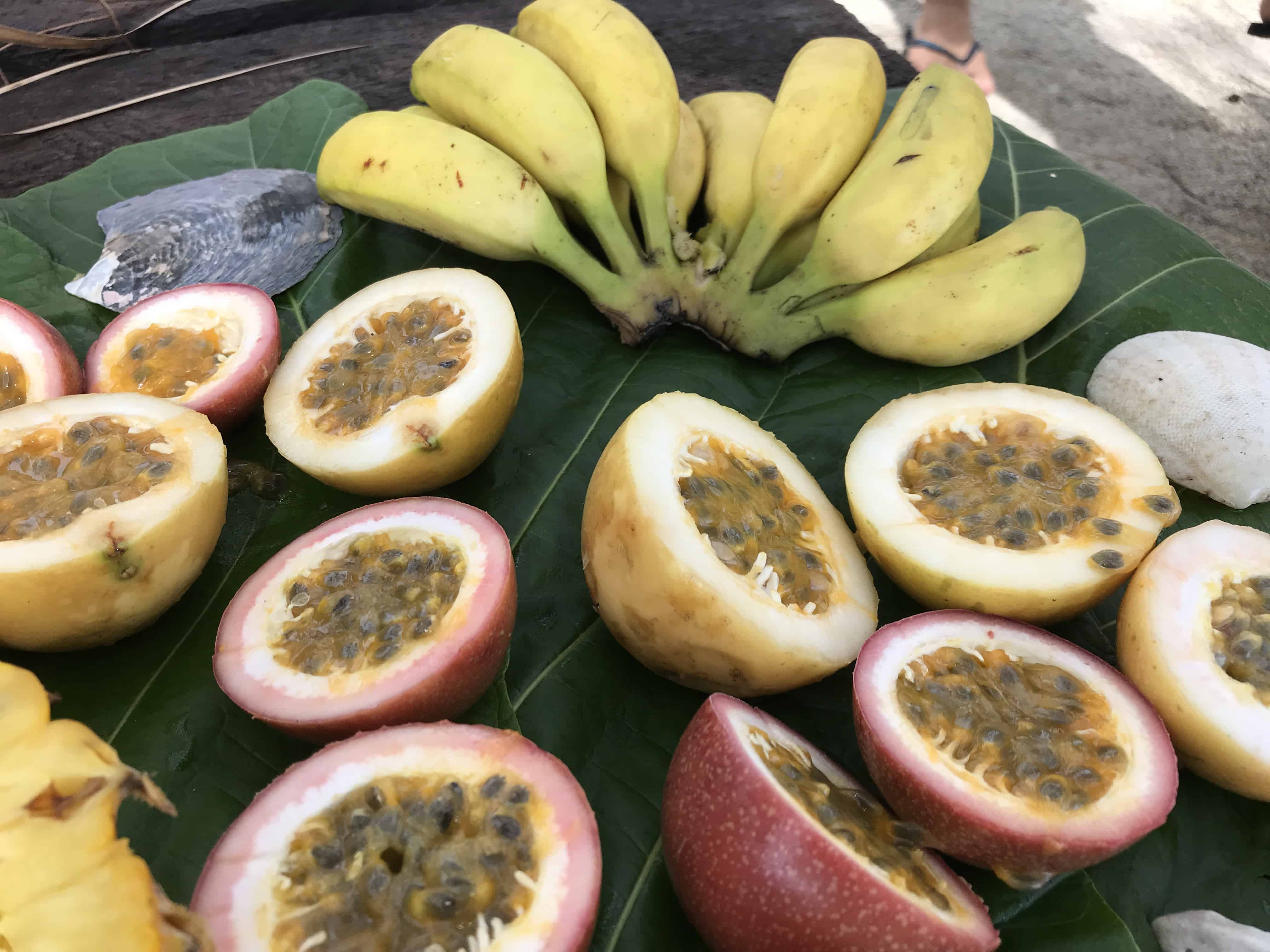 Moorea travel guide