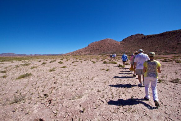 hiking sea of cortex salt flats 1 hiking sea of cortex salt flats 1