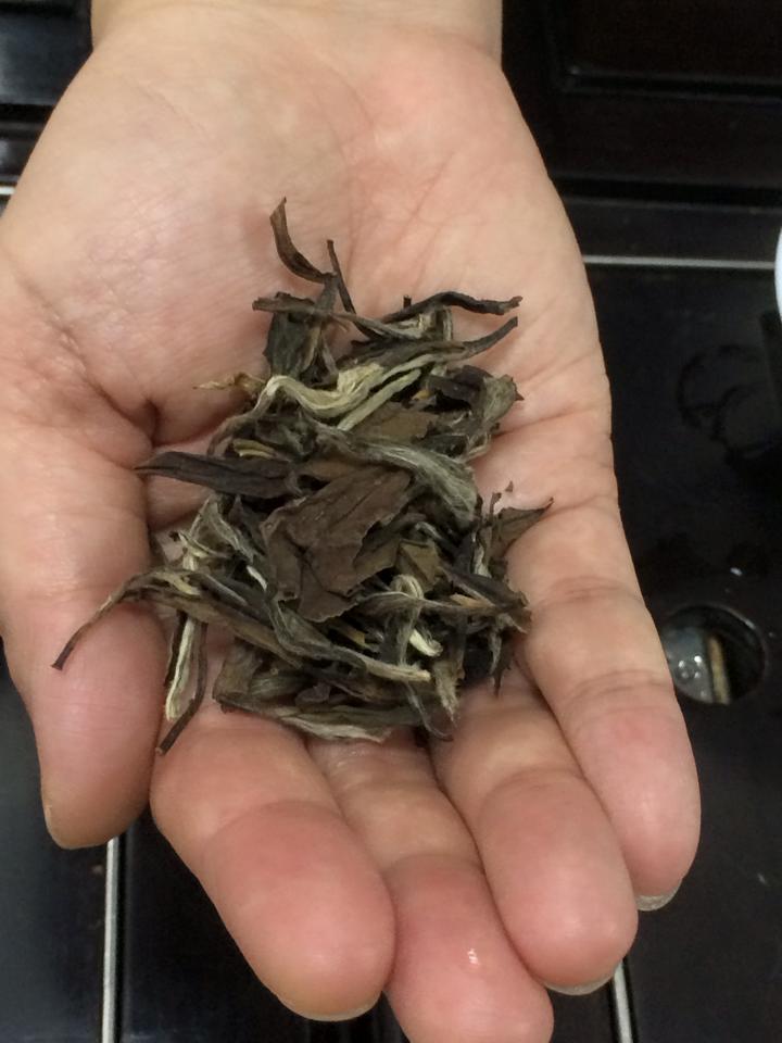 hong-kong for tea