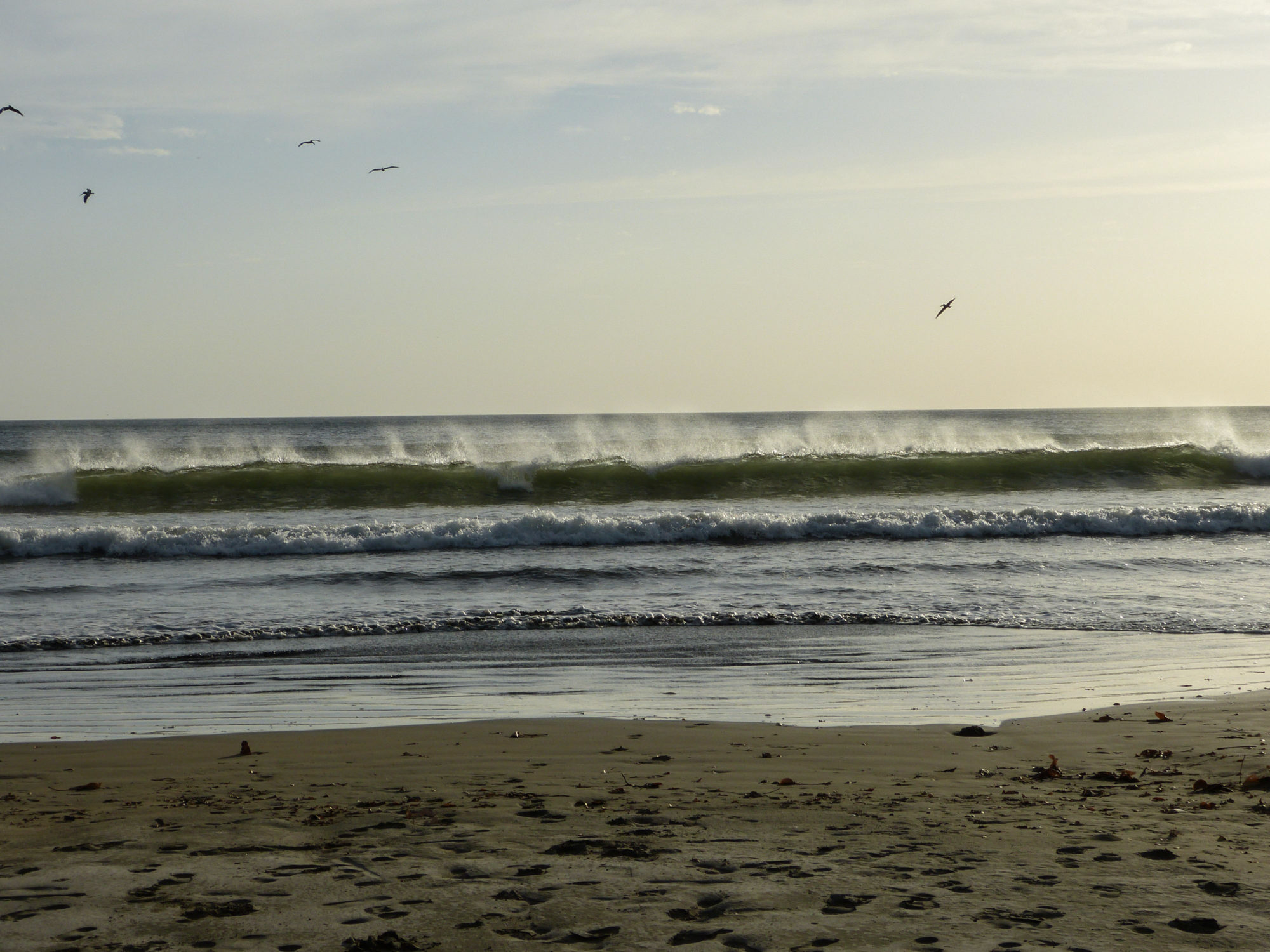nicaragua surf camp 