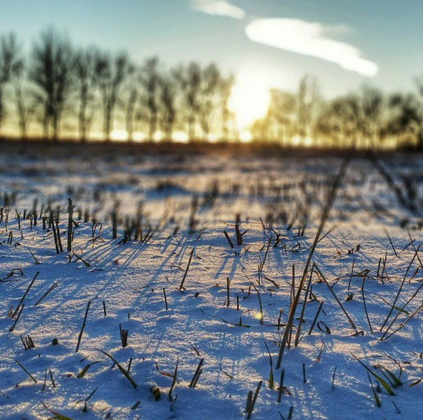 Sunset south dakota snow