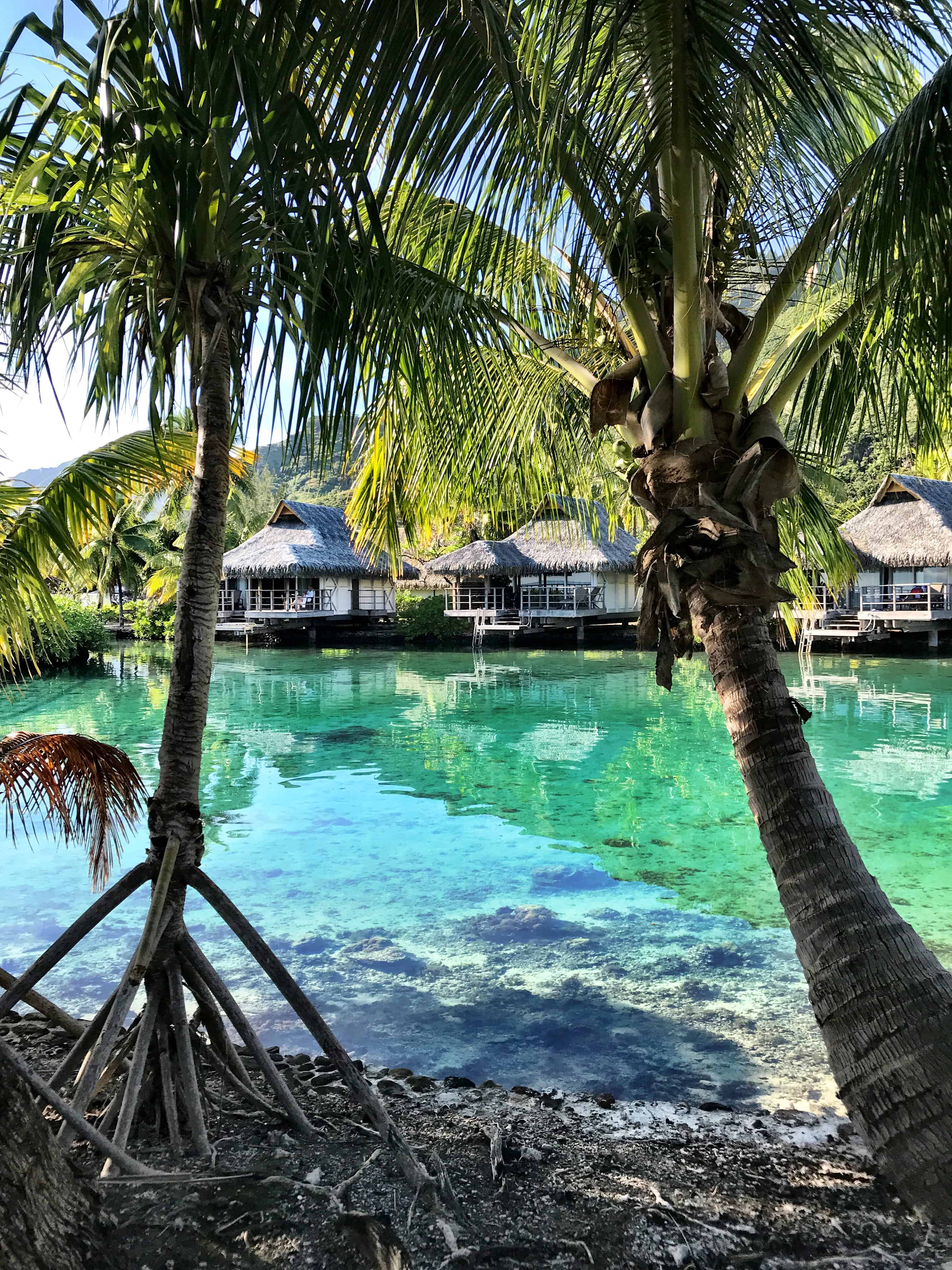 Intercontinental Mo'orea