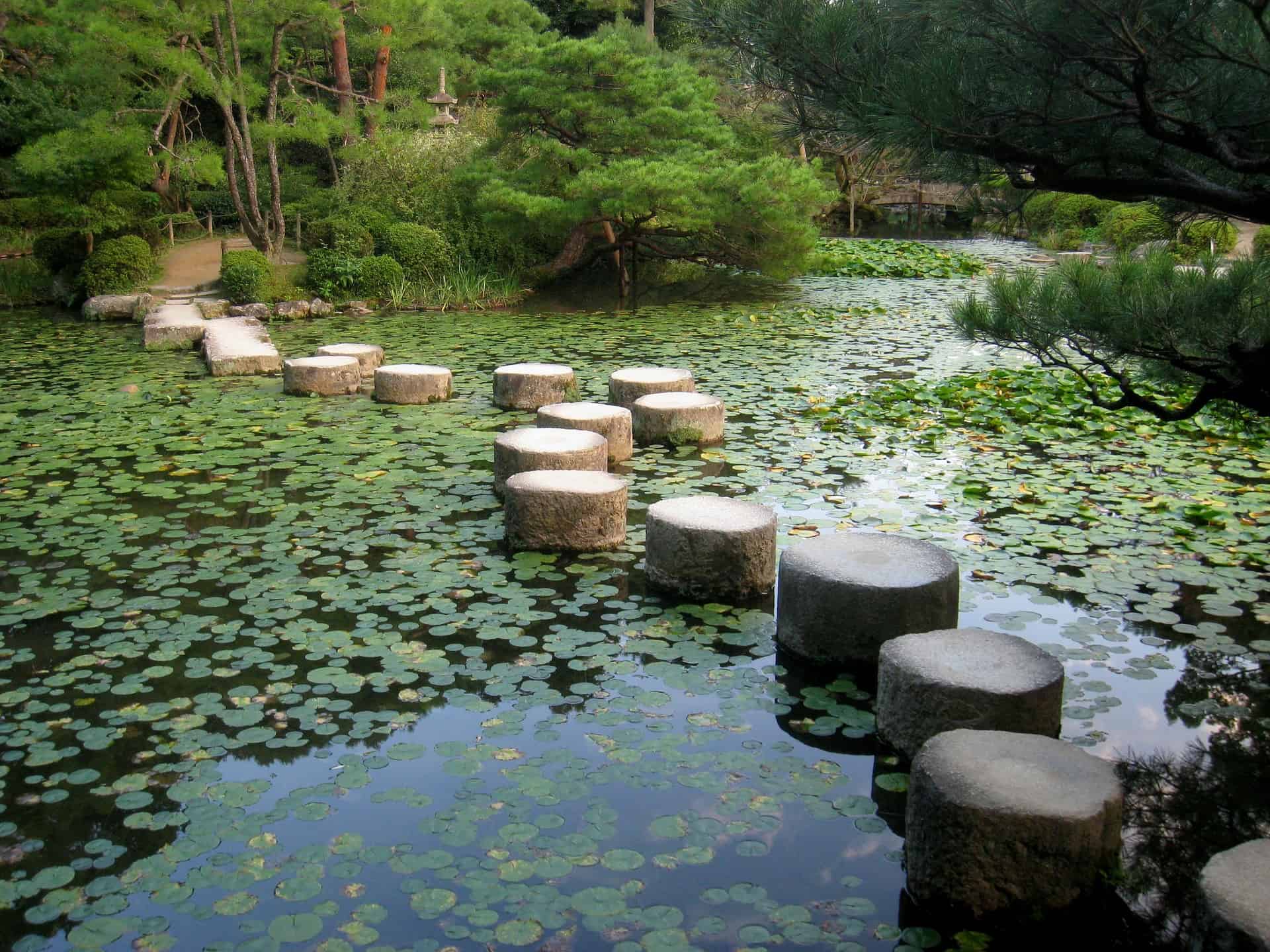 Ryokans & Onsens