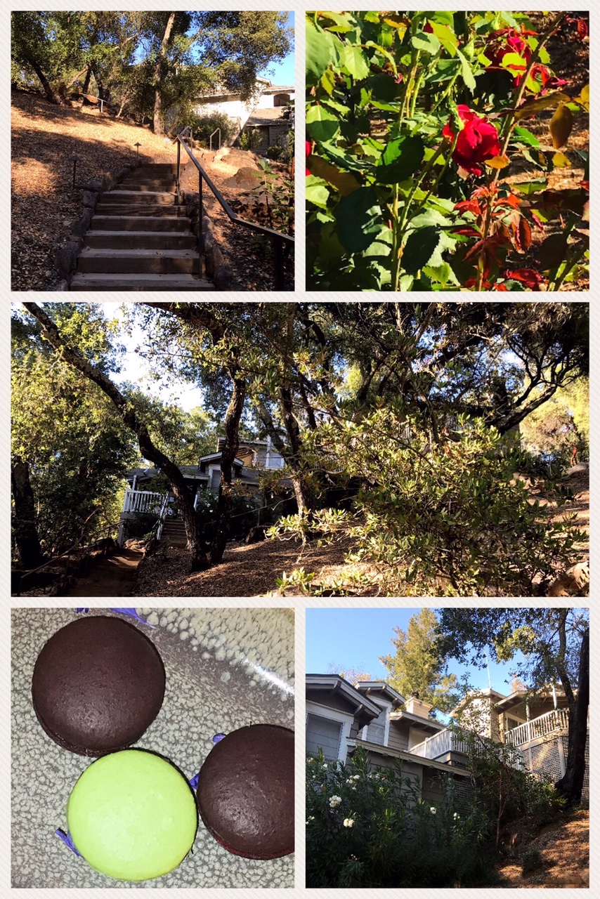 meadowood napa valley