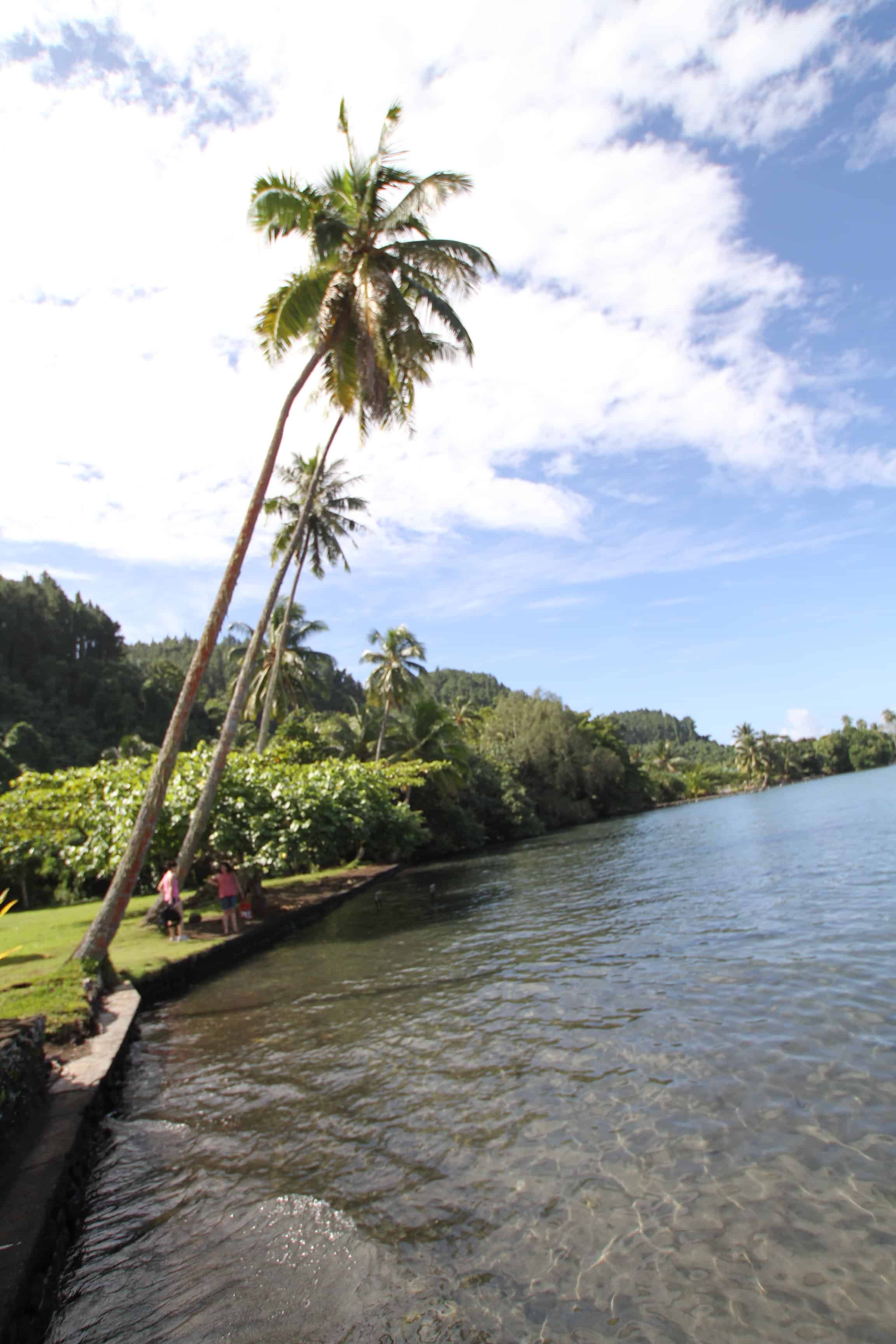 tahiti travel guide