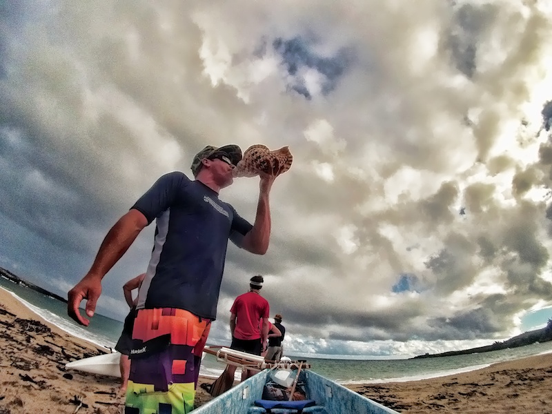 Conch shell horn