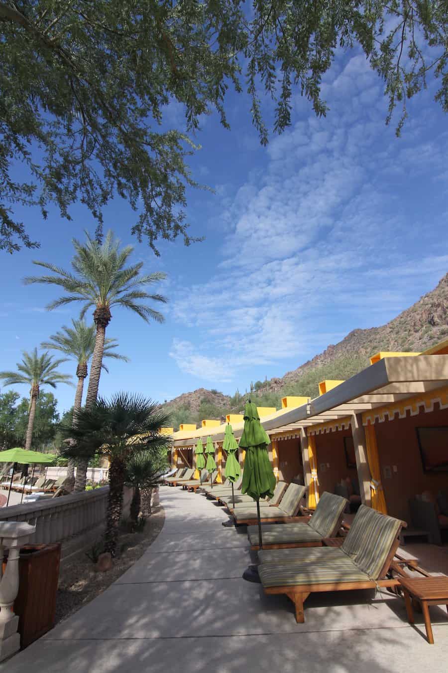 The Phoenician