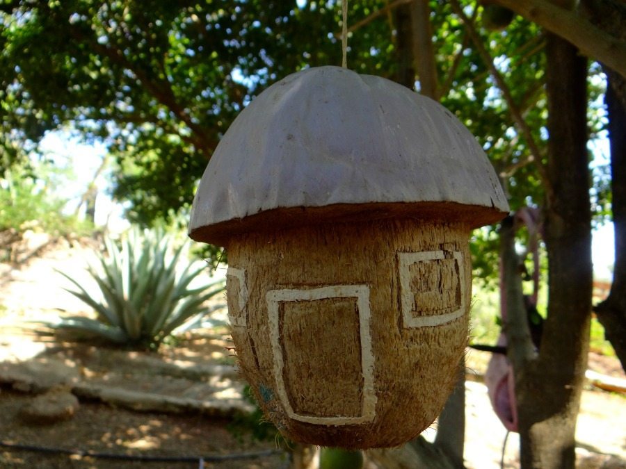 Nature Travel Guide to Curacao