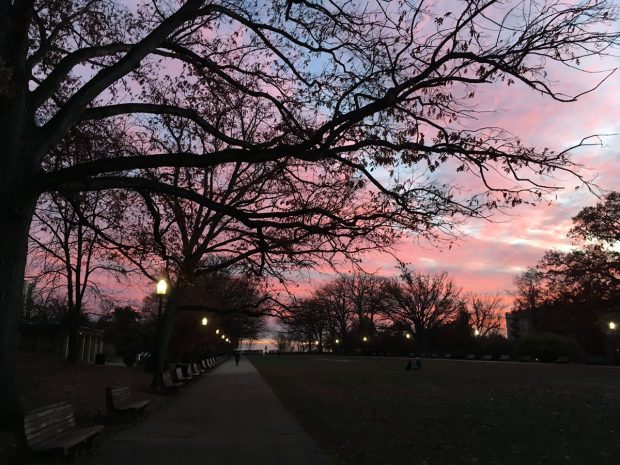 Washington D.C. for Beginners & First Time Visitors - The Highlights - https://travelsofadam.com/2017/03/washington-dc-first-time-visitors/