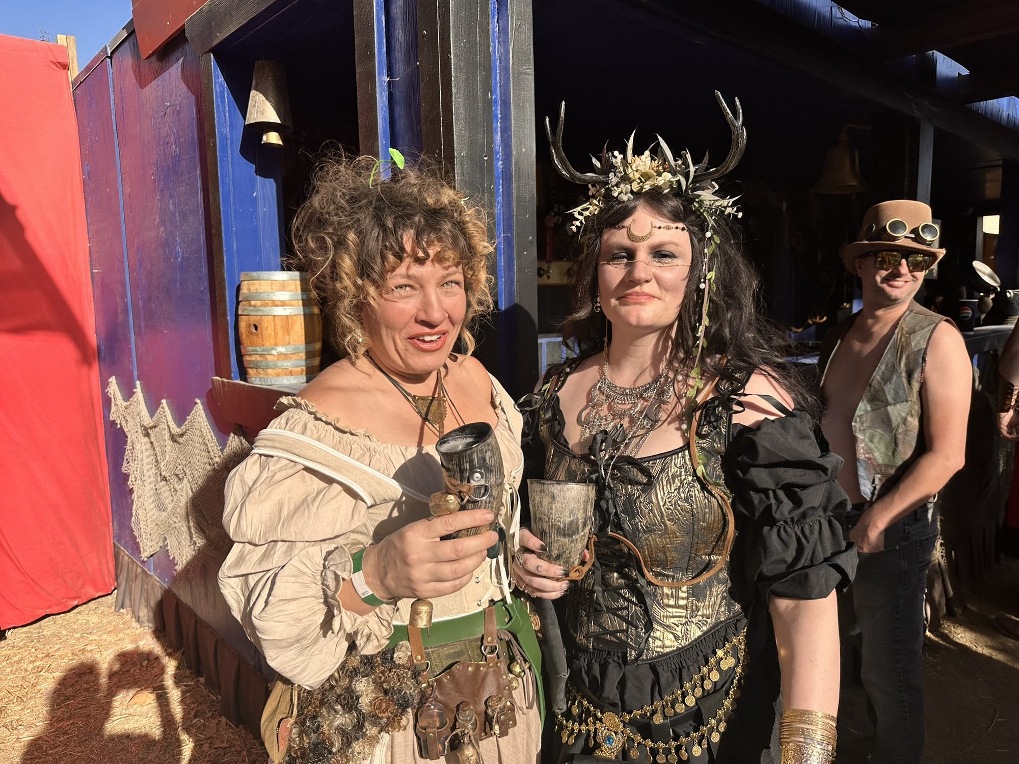 The Annual Renaissance Fair