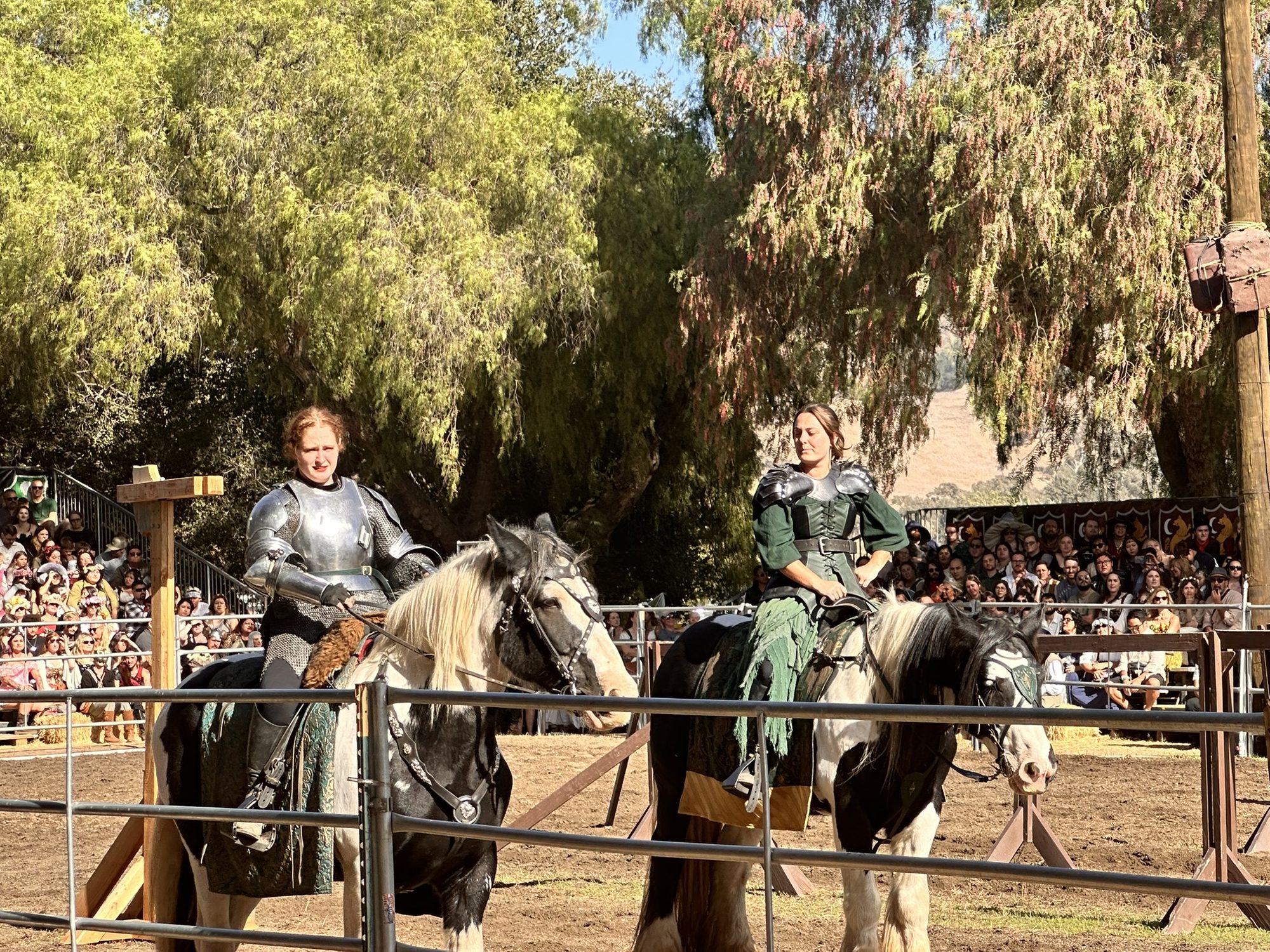 The Annual Renaissance Fair