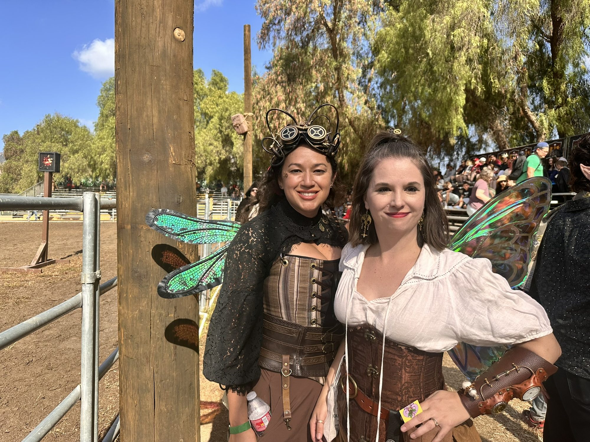 The Annual Renaissance Fair