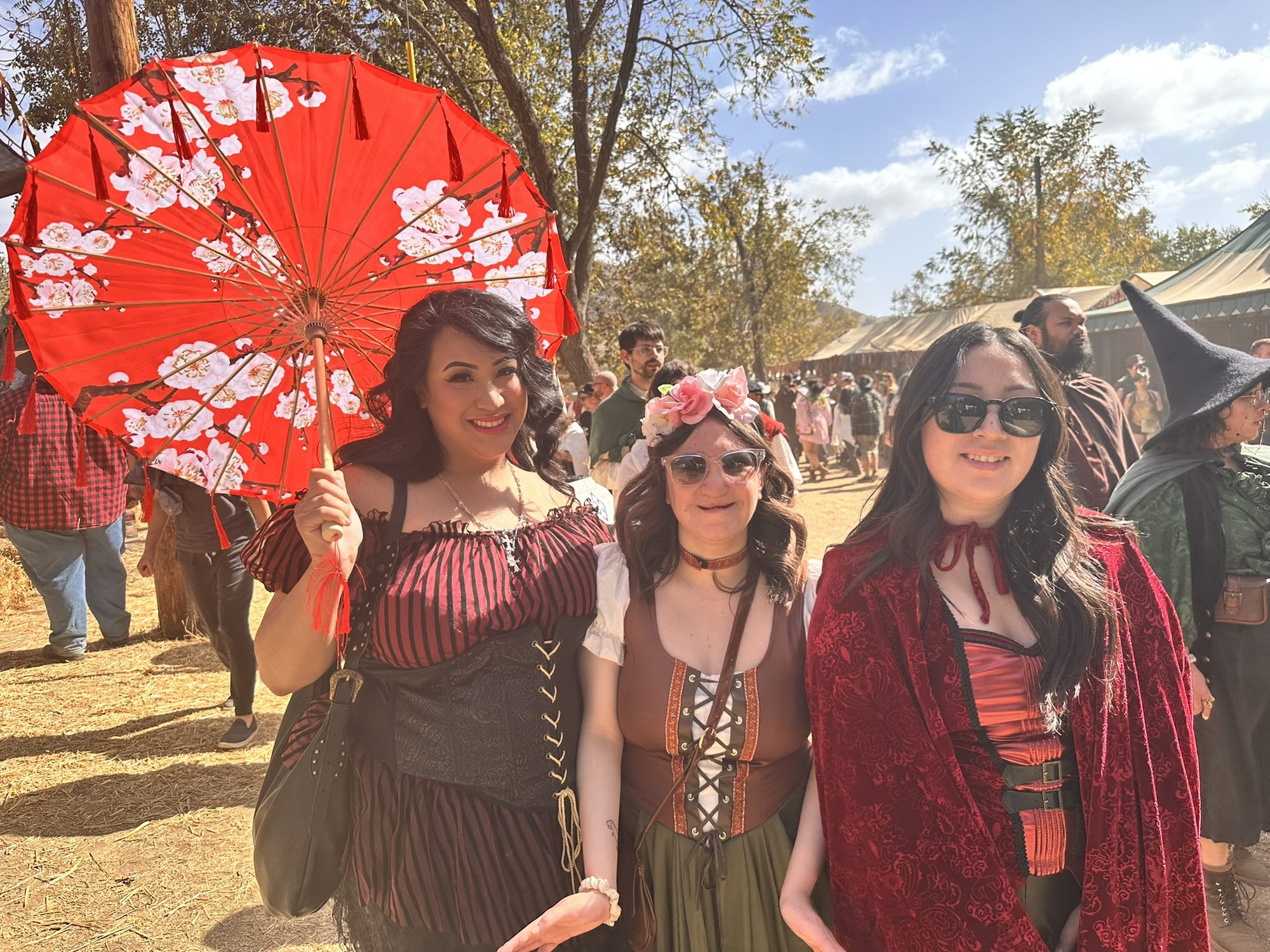 The Annual Renaissance Fair
