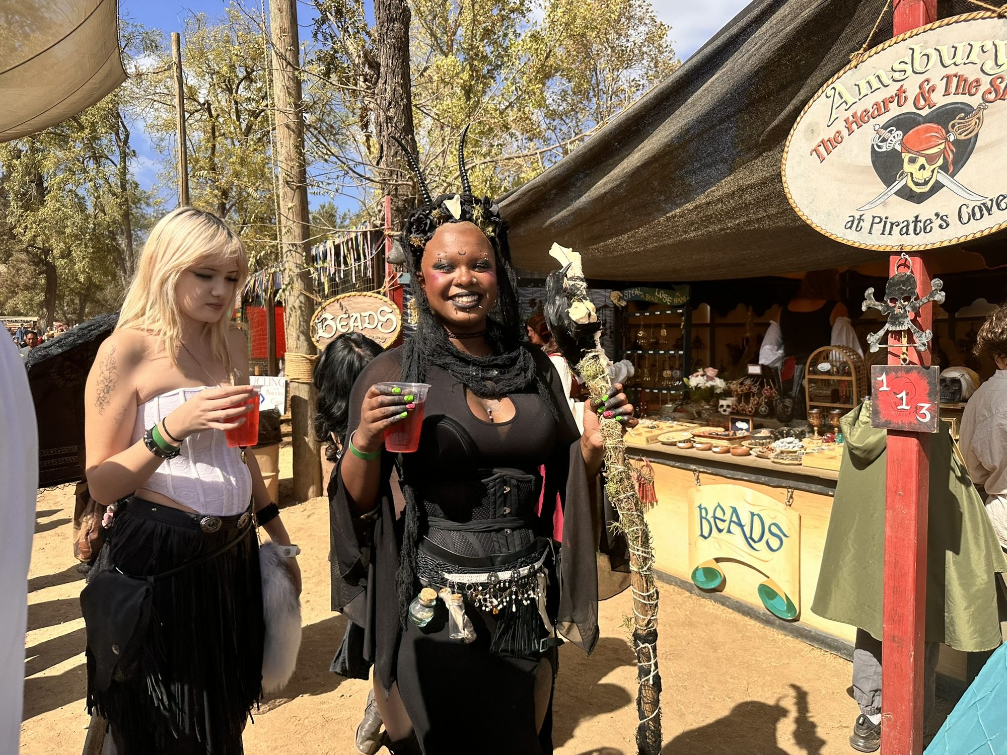 The Annual Renaissance Fair