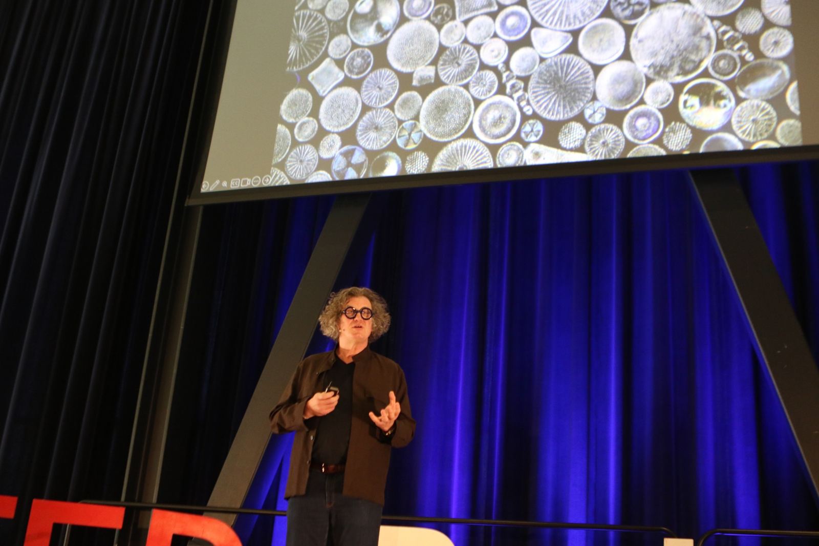 Diatoms under a microscope, a slide from Jon McCormack's TEDxBerkeley talk
