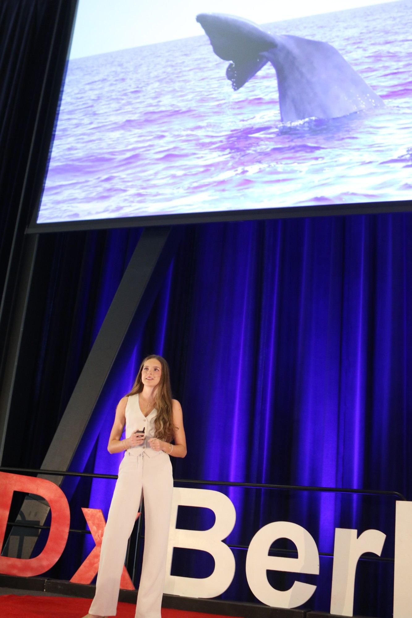 A whale's tail, a slide from Jasmine Ornish's talk on AI and whale language