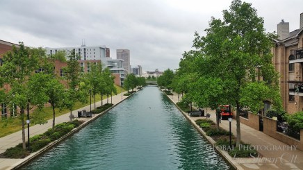 things to do in Indianapolis 21 things to do in Indianapolis