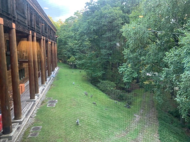 Views from Chuzenji Kanaya hotel