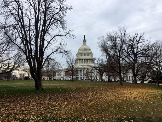 Washington D.C. for Beginners & First Time Visitors - The Highlights - https://travelsofadam.com/2017/03/washington-dc-first-time-visitors/