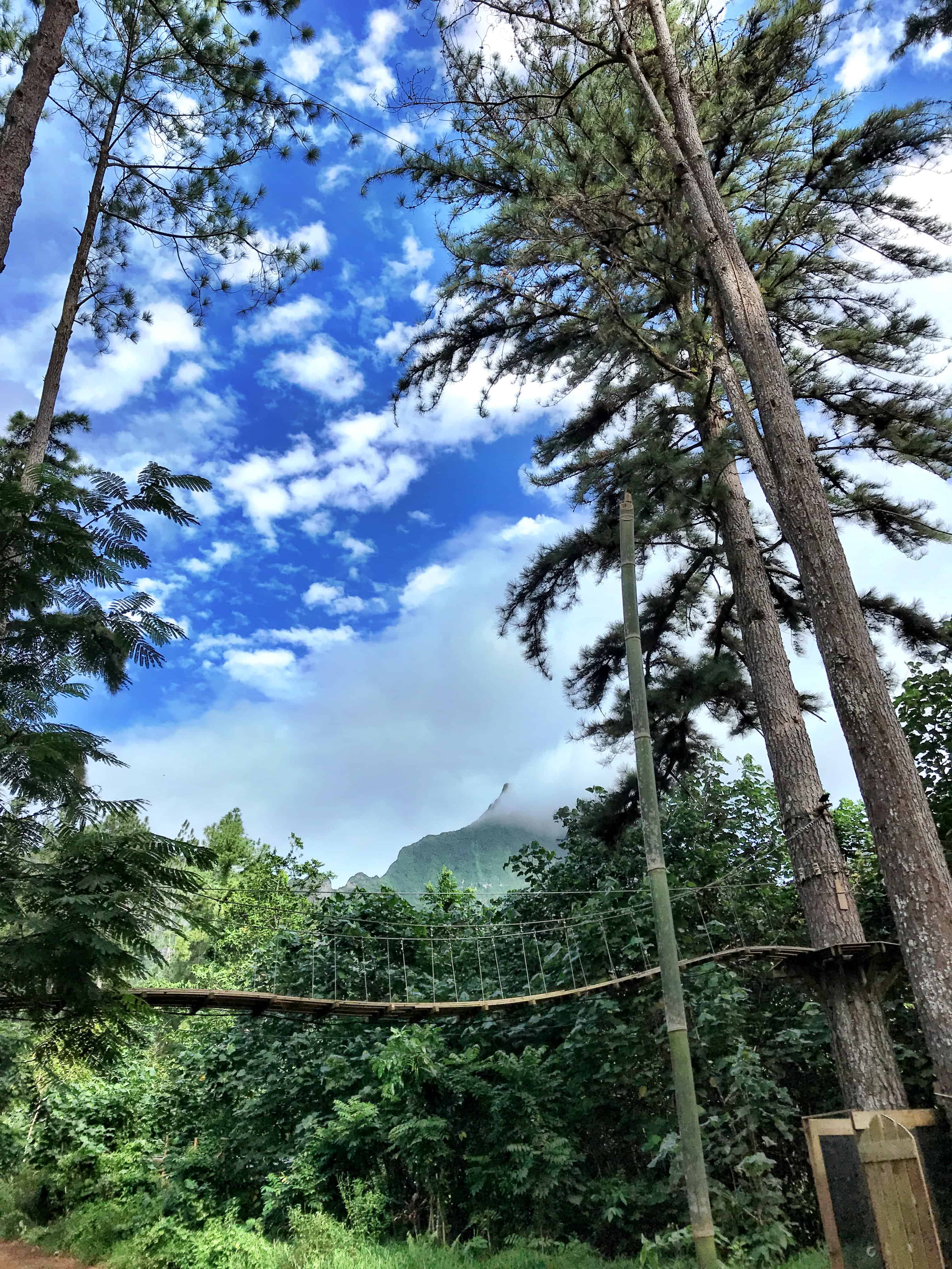 Mo'orea travel guide ziplining